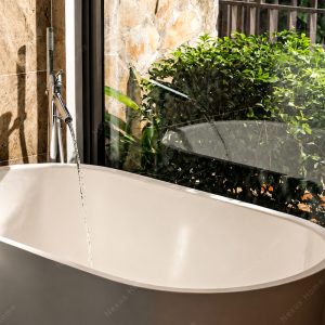 Sen cây bồn tắm cao cấp Nexus BF005